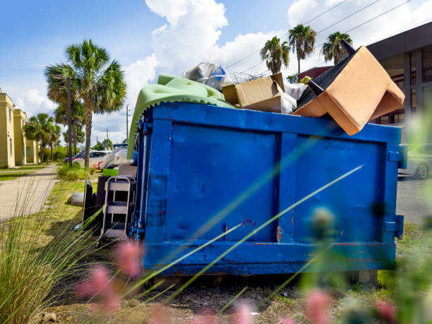 Best Yard Cleanup Services  in Bosque Farms, NM